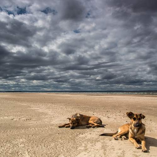 Photo #7525757