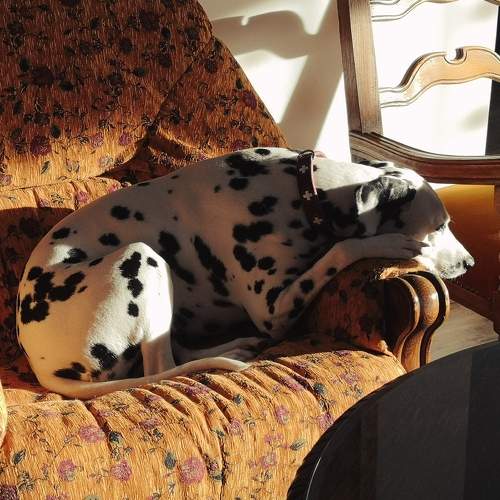 Photo #7526330