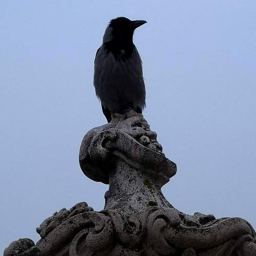 Photo #7526370