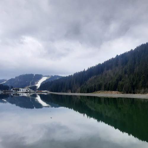 Photo #7526397