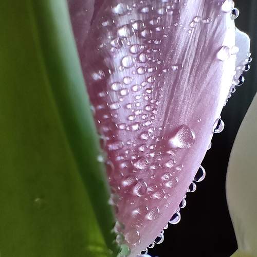 Photo #7526545