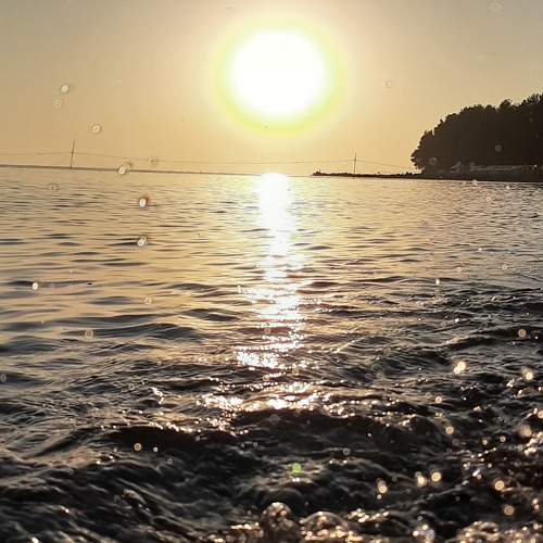 Photo #7526791