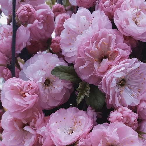Photo #7526803