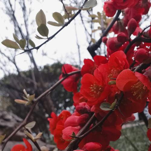 Photo #7526830