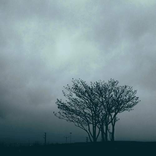Photo #7527146