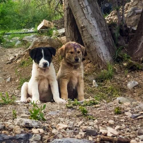Photo #7527254