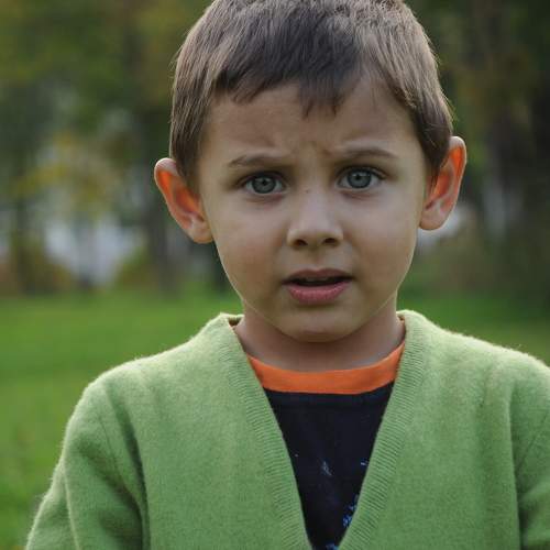 Photo #7527663