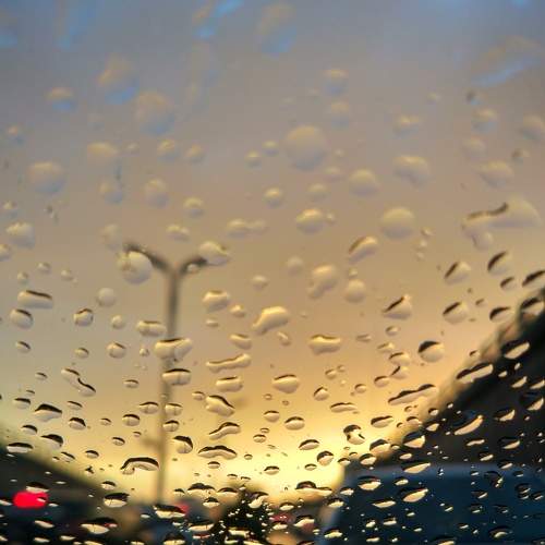 Photo #7527791