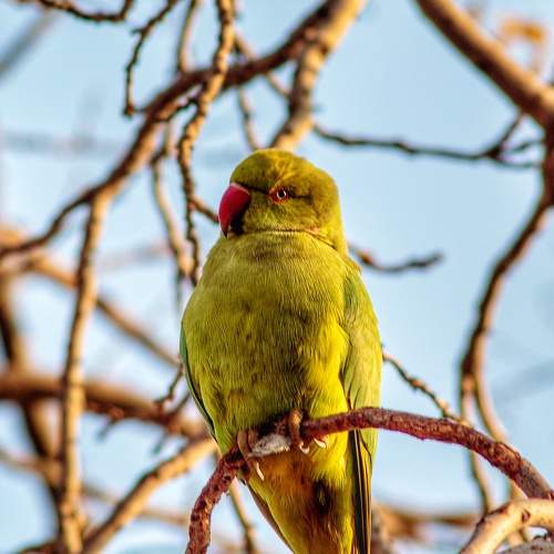 Photo #7527985