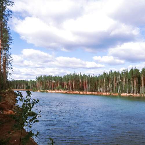 Photo #7528021