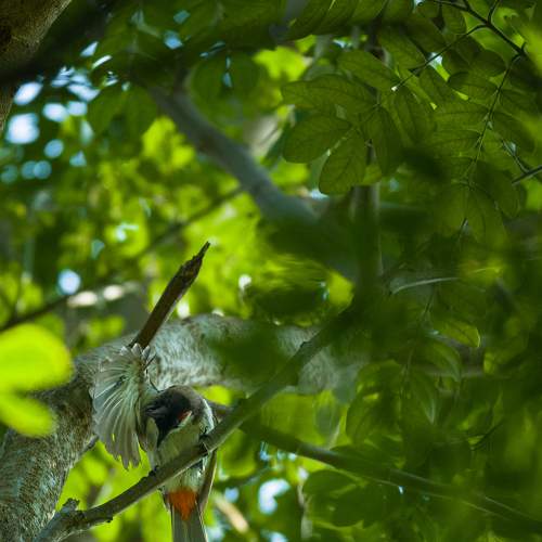 Photo #7528299