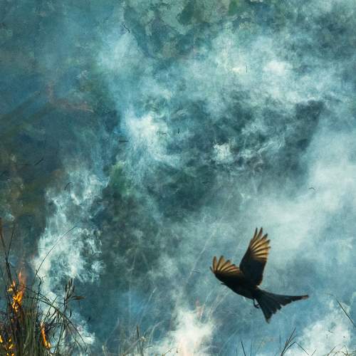 Photo #7528385