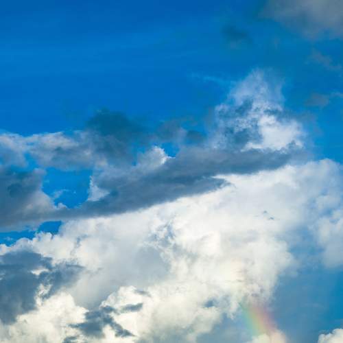 Photo #7528389