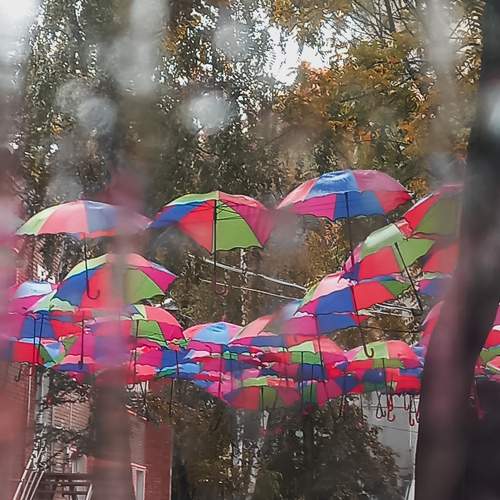 Photo #7528674