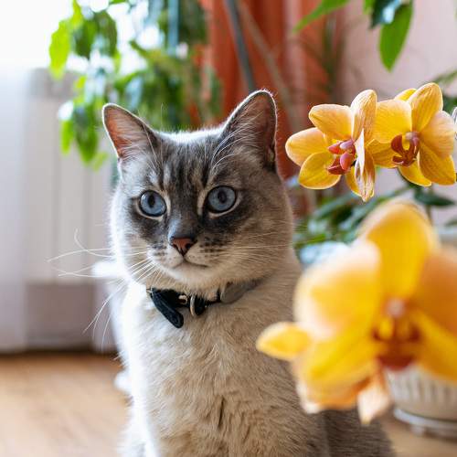 Photo #7528894