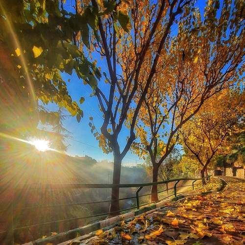 Photo #7529052