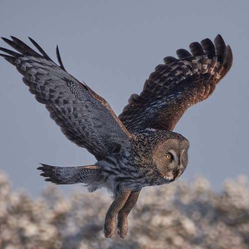 Photo #7529057