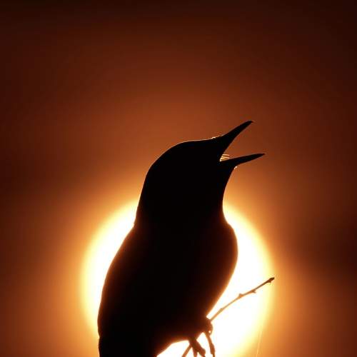 Photo #7529063