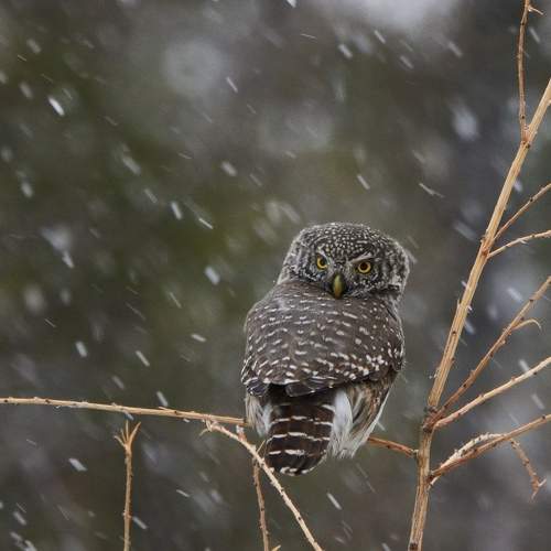 Photo #7529064