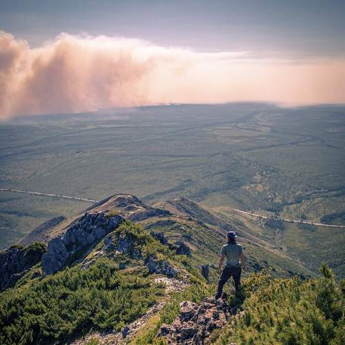 Photo #7529078