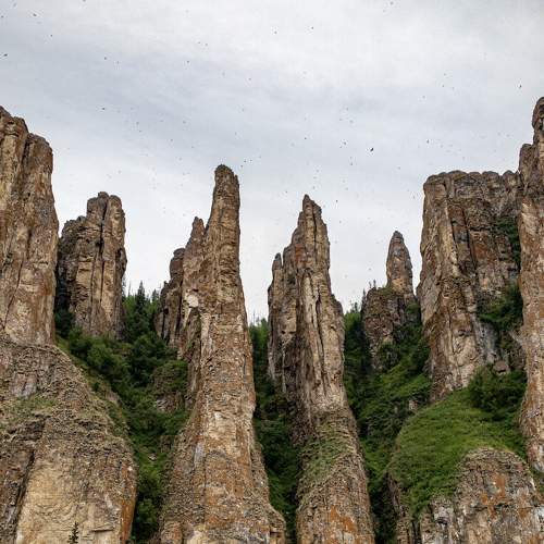Photo #7529086