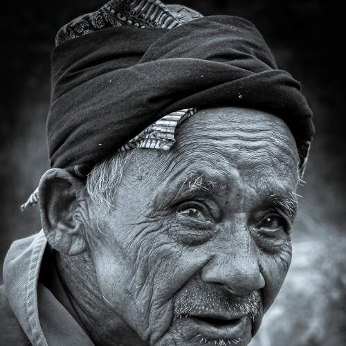 Photo #7529098