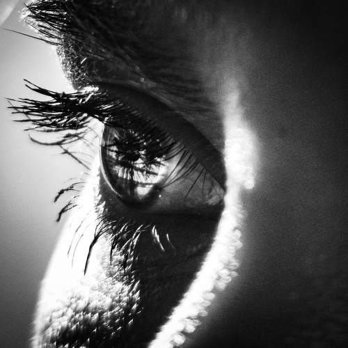 Photo #7529118