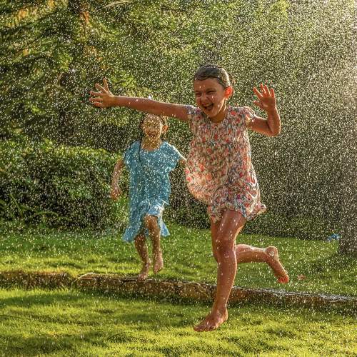 Photo #7529137