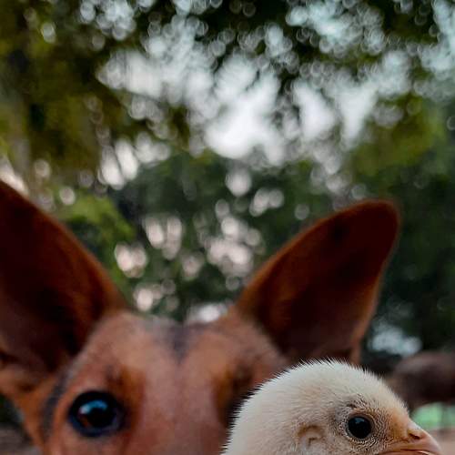 Photo #7529154