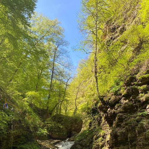 Photo #7529489