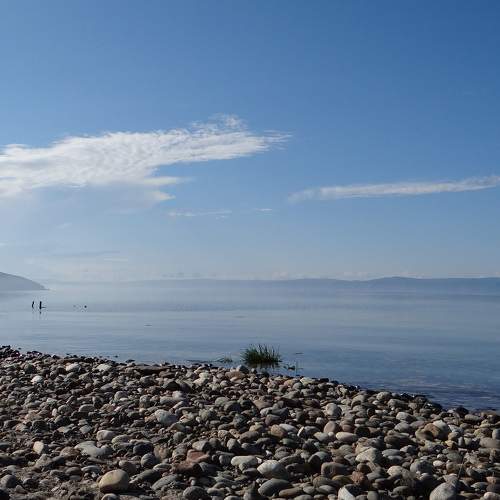Photo #7530051