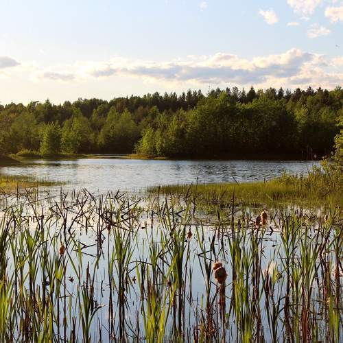 Photo #7530068