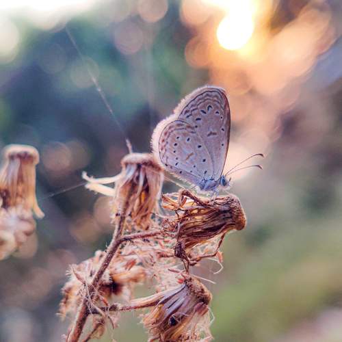 Photo #7530158