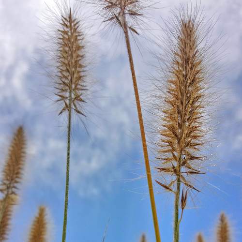 Photo #7530194