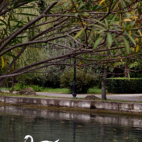 Photo #7530241