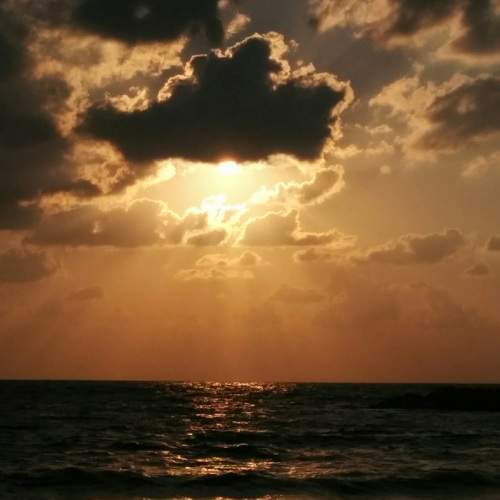 Photo #7530499