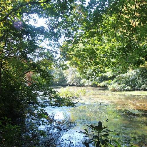 Photo #7530532