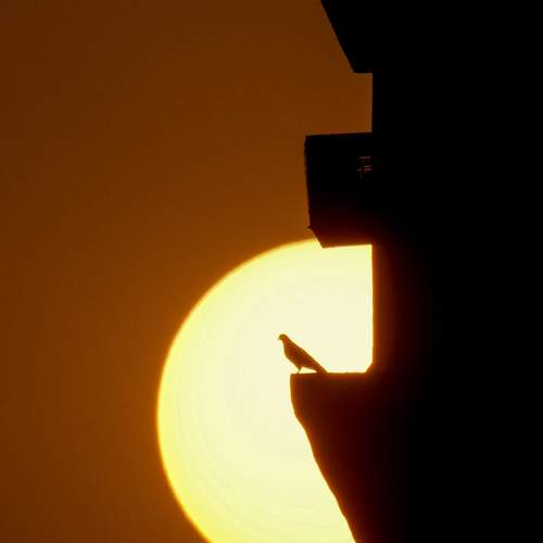 Photo #7530826