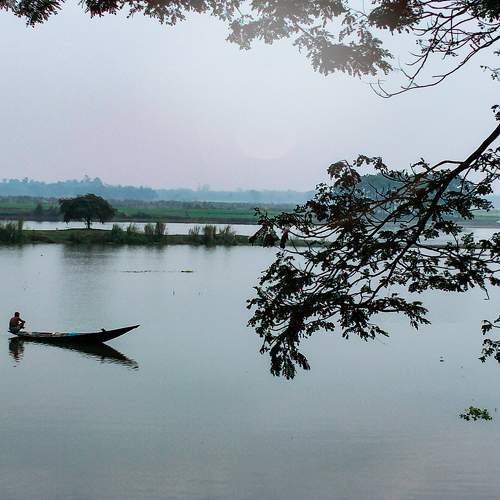 Photo #7530983