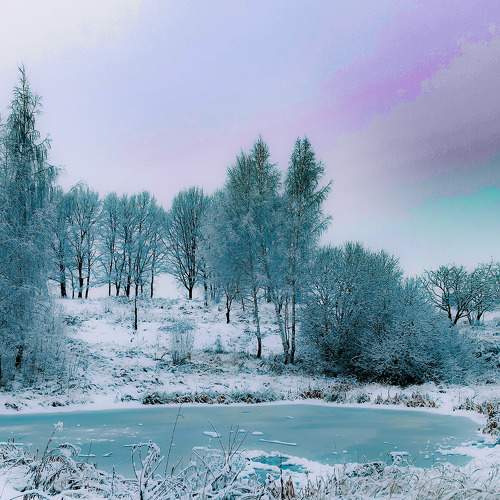 Photo #7531011