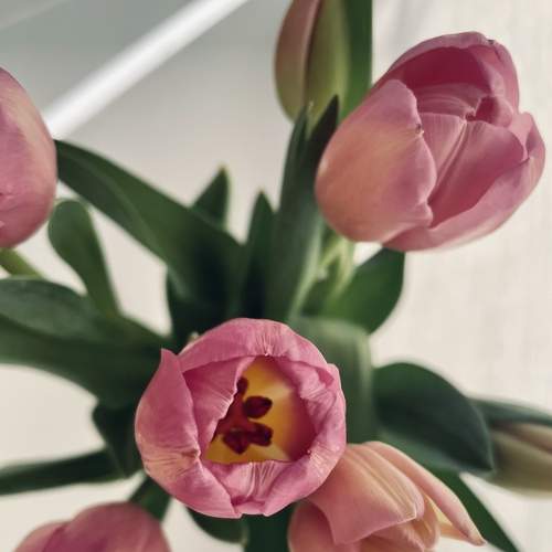 Photo #7531049