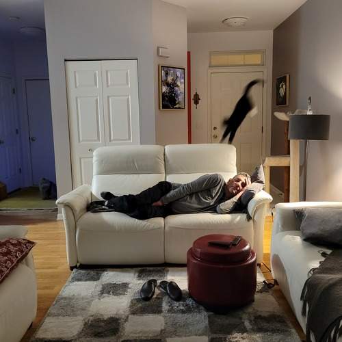 Photo #7531214