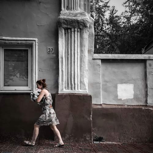 Фотография #7531253