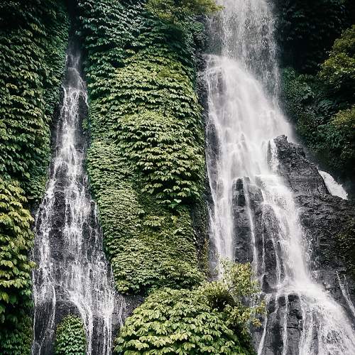 Photo #7531654