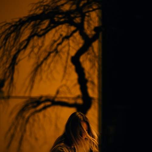 Photo #7531934