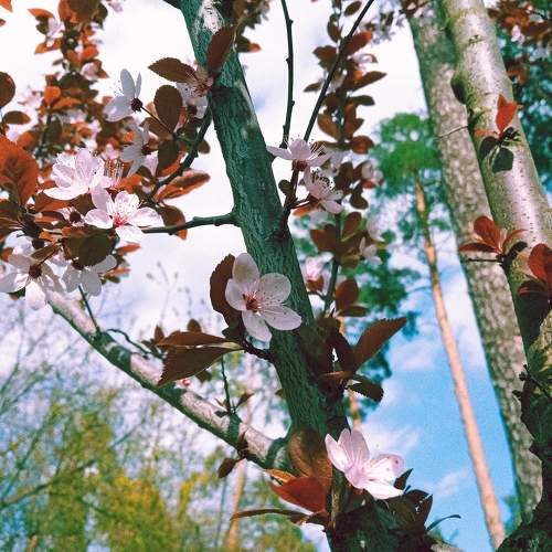 Photo #7532057