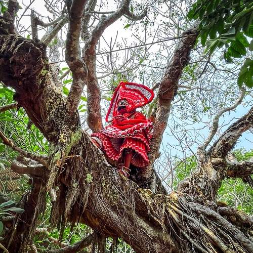 KERALA : GOD'S OWN COUNTRY