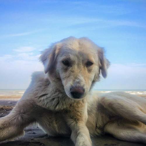 Photo #7532253