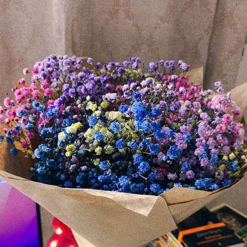 Photo #7532388