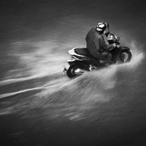 Photo #7532450